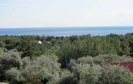 hotel moombean pefkari 2plus2 bed room 10